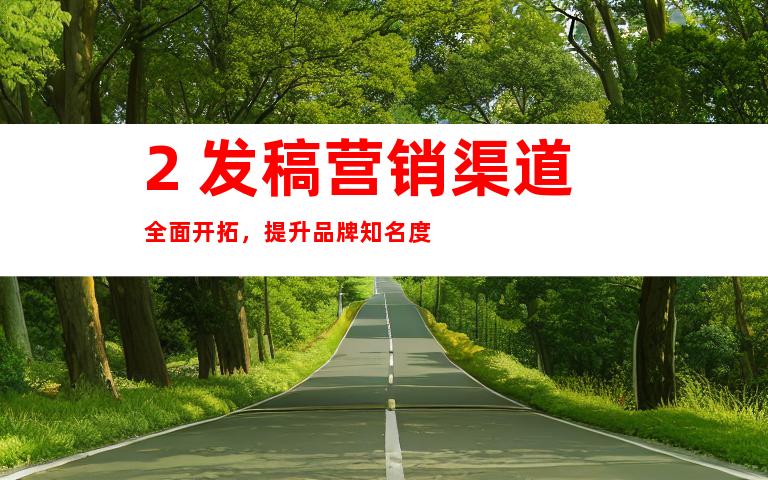 2. 发稿营销渠道全面开拓，提升品牌知名度