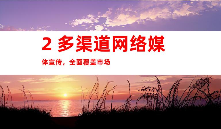 2. 多渠道网络媒体宣传，全面覆盖市场