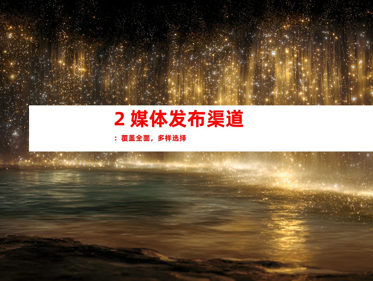 2. 媒体发布渠道：覆盖全面，多样选择