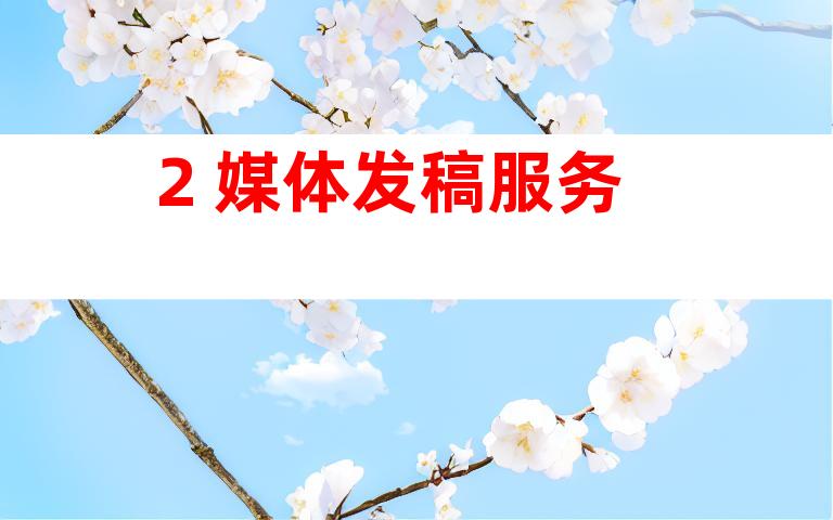 2. 媒体发稿服务