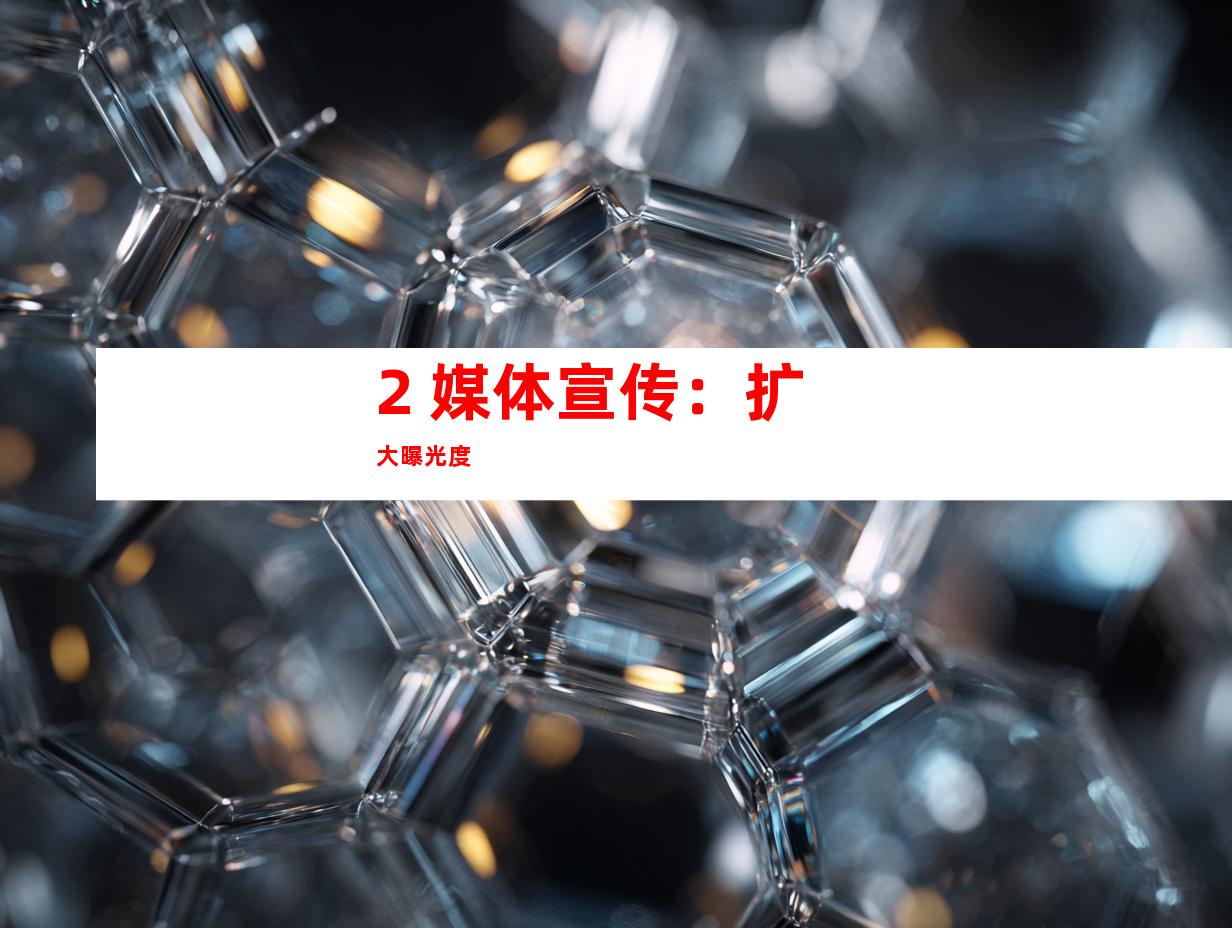 2. 媒体宣传：扩大曝光度