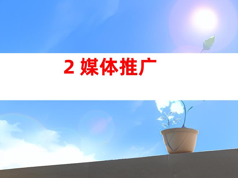 2. 媒体推广