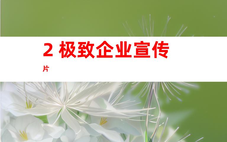 2. 极致企业宣传片
