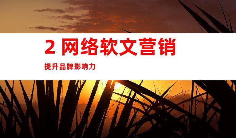 2. 网络软文营销提升品牌影响力