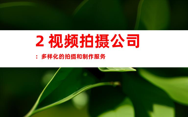 2. 视频拍摄公司：多样化的拍摄和制作服务