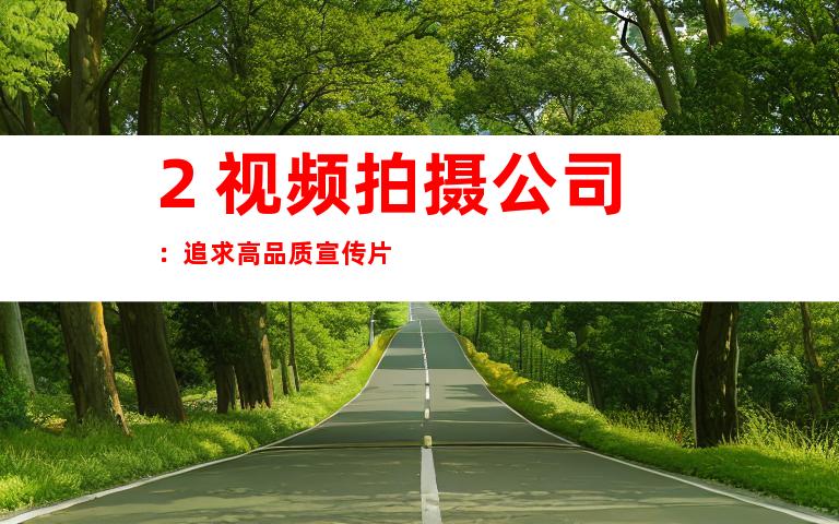 2. 视频拍摄公司：追求高品质宣传片