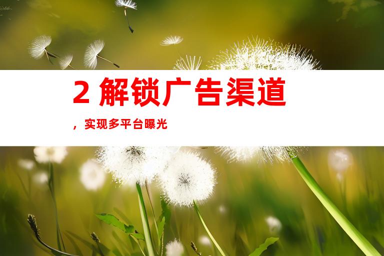 2. 解锁广告渠道，实现多平台曝光