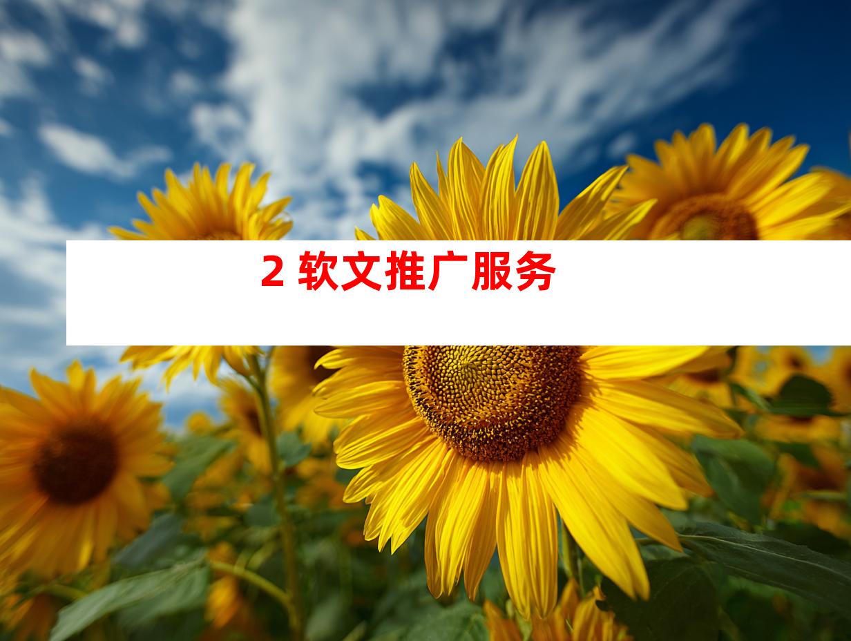 2. 软文推广服务