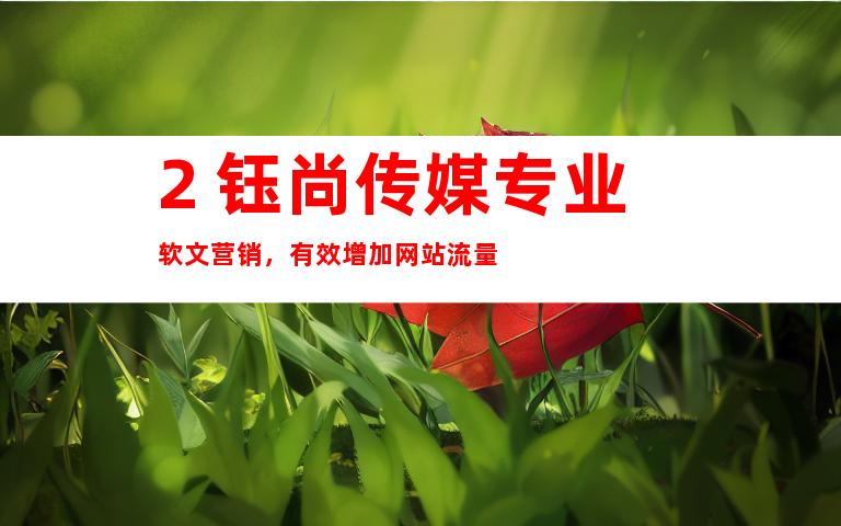 2. 钰尚传媒专业软文营销，有效增加网站流量