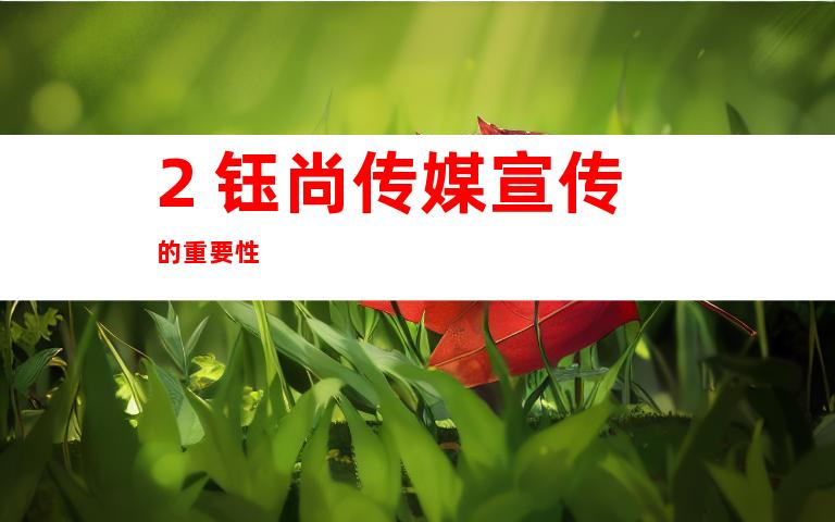 2. 钰尚传媒宣传的重要性