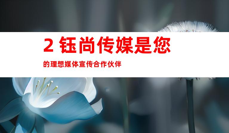 2. 钰尚传媒是您的理想媒体宣传合作伙伴