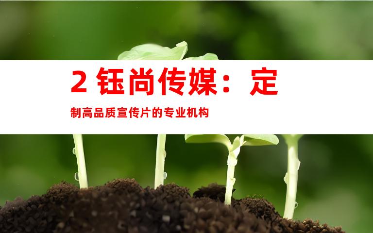 2. 钰尚传媒：定制高品质宣传片的专业机构