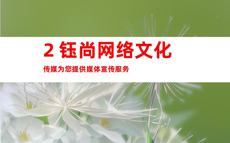 2. 钰尚网络文化传媒为您提供媒体宣传服务