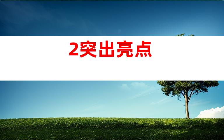 2.突出亮点