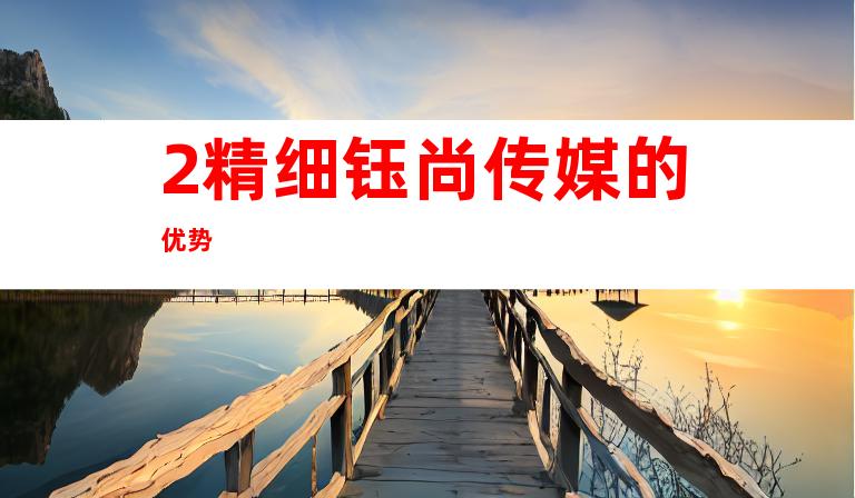 2.精细钰尚传媒的优势