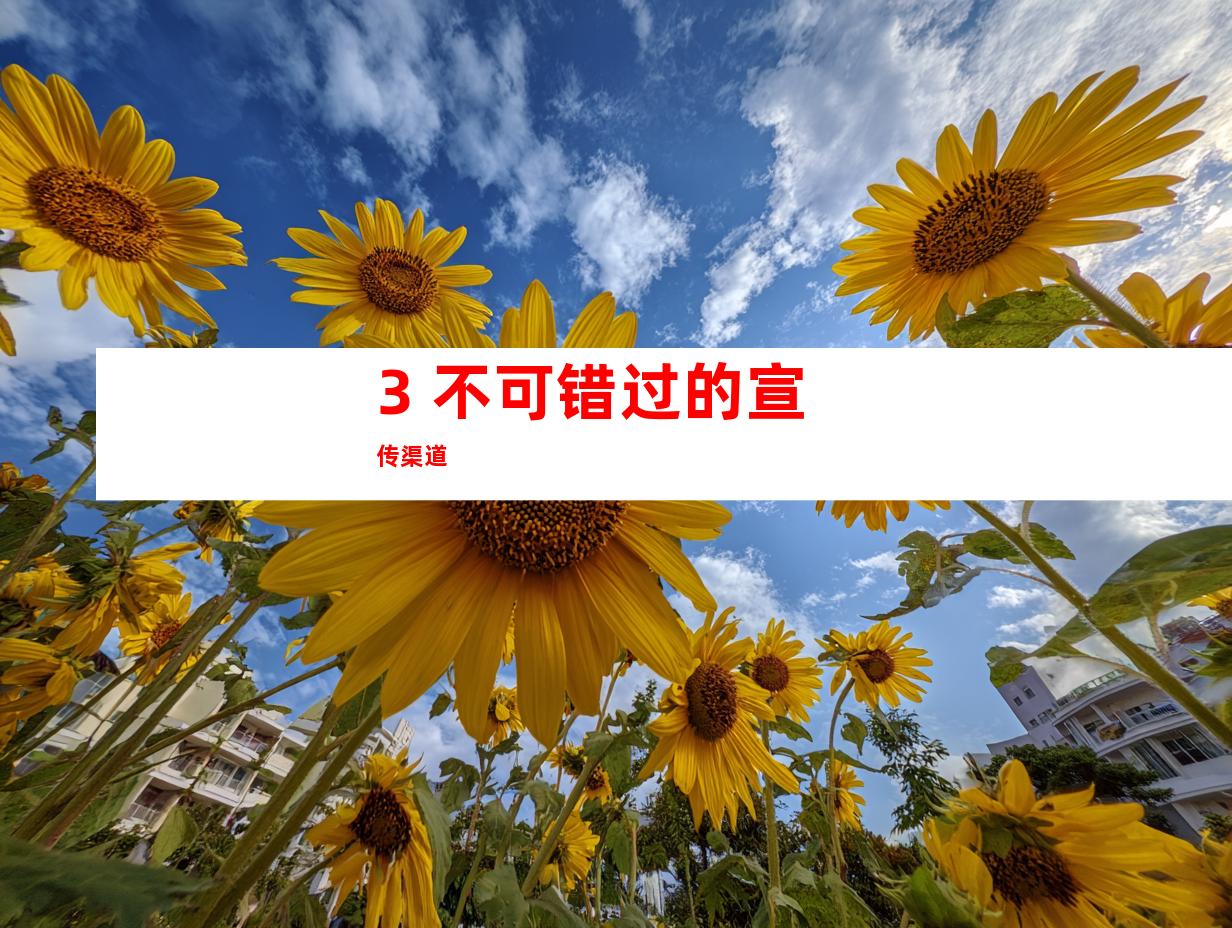3. 不可错过的宣传渠道