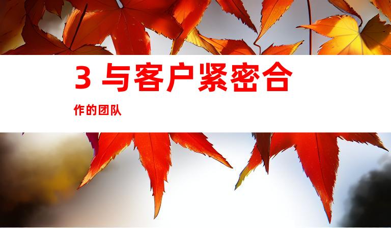 3. 与客户紧密合作的团队