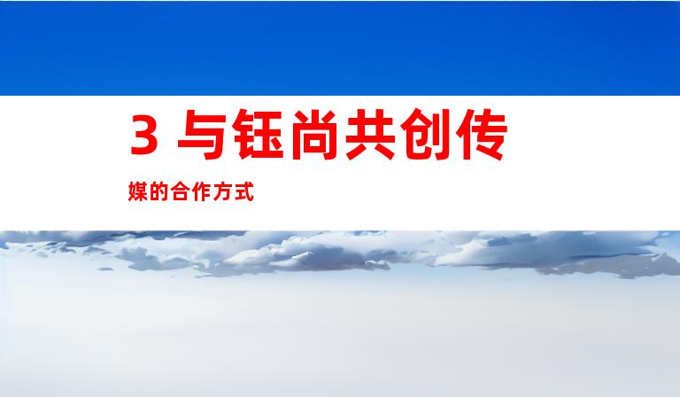 3. 与钰尚共创传媒的合作方式
