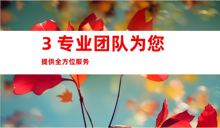 3. 专业团队为您提供全方位服务