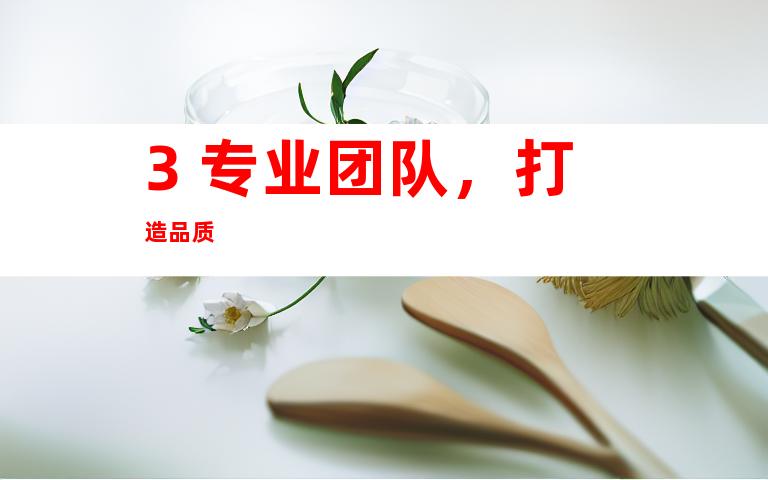 3. 专业团队，打造品质