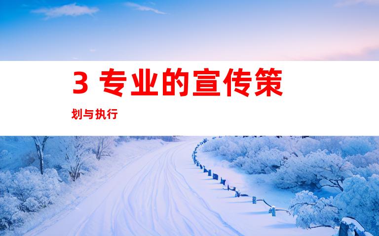 3. 专业的宣传策划与执行