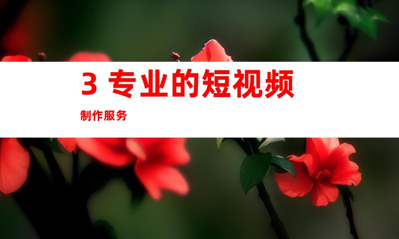 3. 专业的短视频制作服务