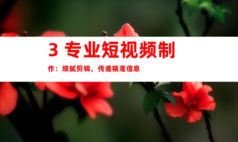 3. 专业短视频制作：细腻剪辑，传递精准信息