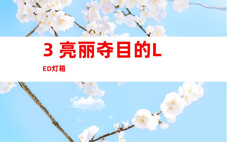 3. 亮丽夺目的LED灯箱