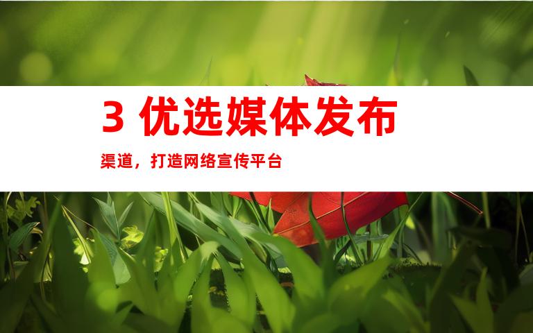 3. 优选媒体发布渠道，打造网络宣传平台
