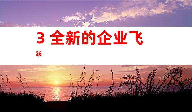 3. 全新的企业飞跃