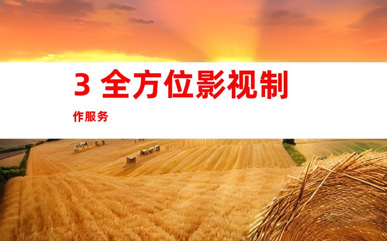 3. 全方位影视制作服务