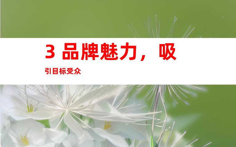 3. 品牌魅力，吸引目标受众