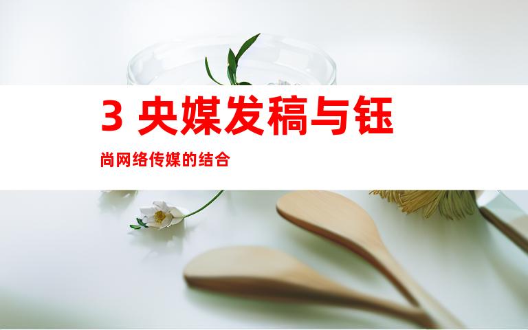 3. 央媒发稿与钰尚网络传媒的结合