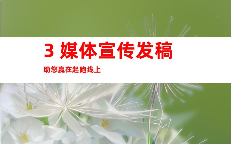 3. 媒体宣传发稿助您赢在起跑线上