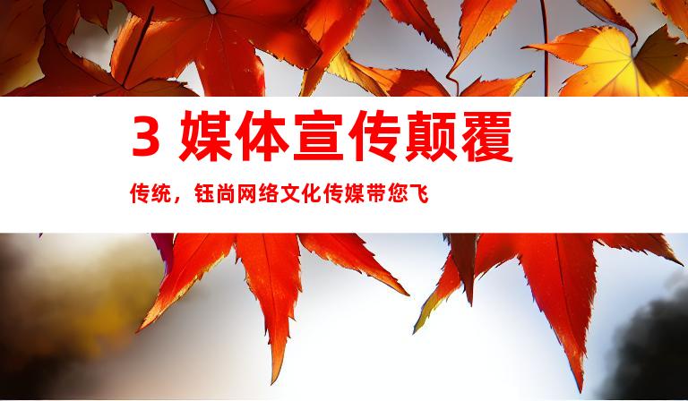 3. 媒体宣传颠覆传统，钰尚网络文化传媒带您飞