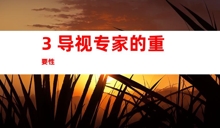 3. 导视专家的重要性