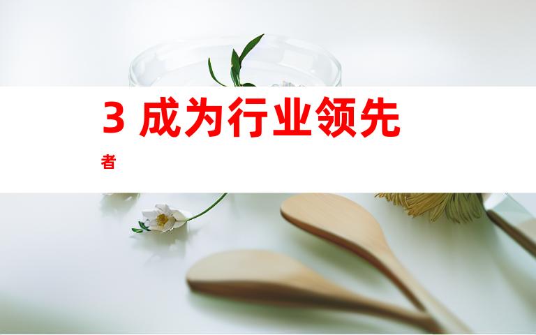 3. 成为行业领先者
