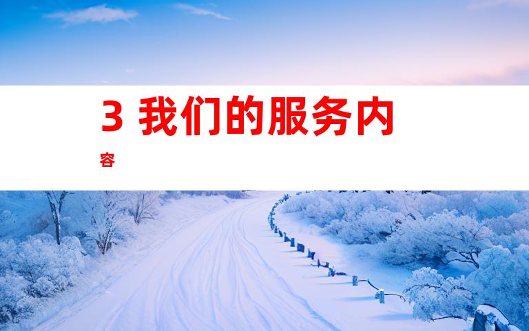 3. 我们的服务内容