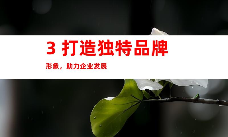 3. 打造独特品牌形象，助力企业发展