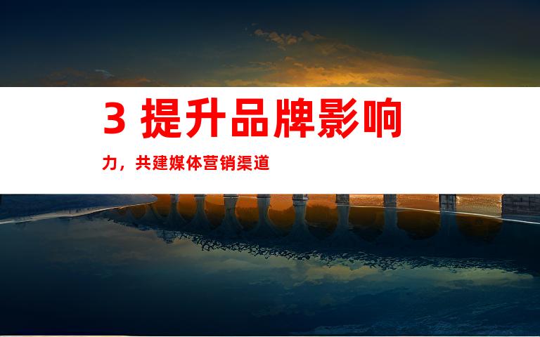 3. 提升品牌影响力,共建媒体营销渠道