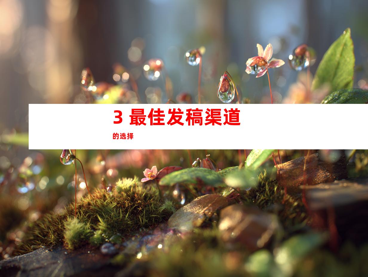 3. 最佳发稿渠道的选择