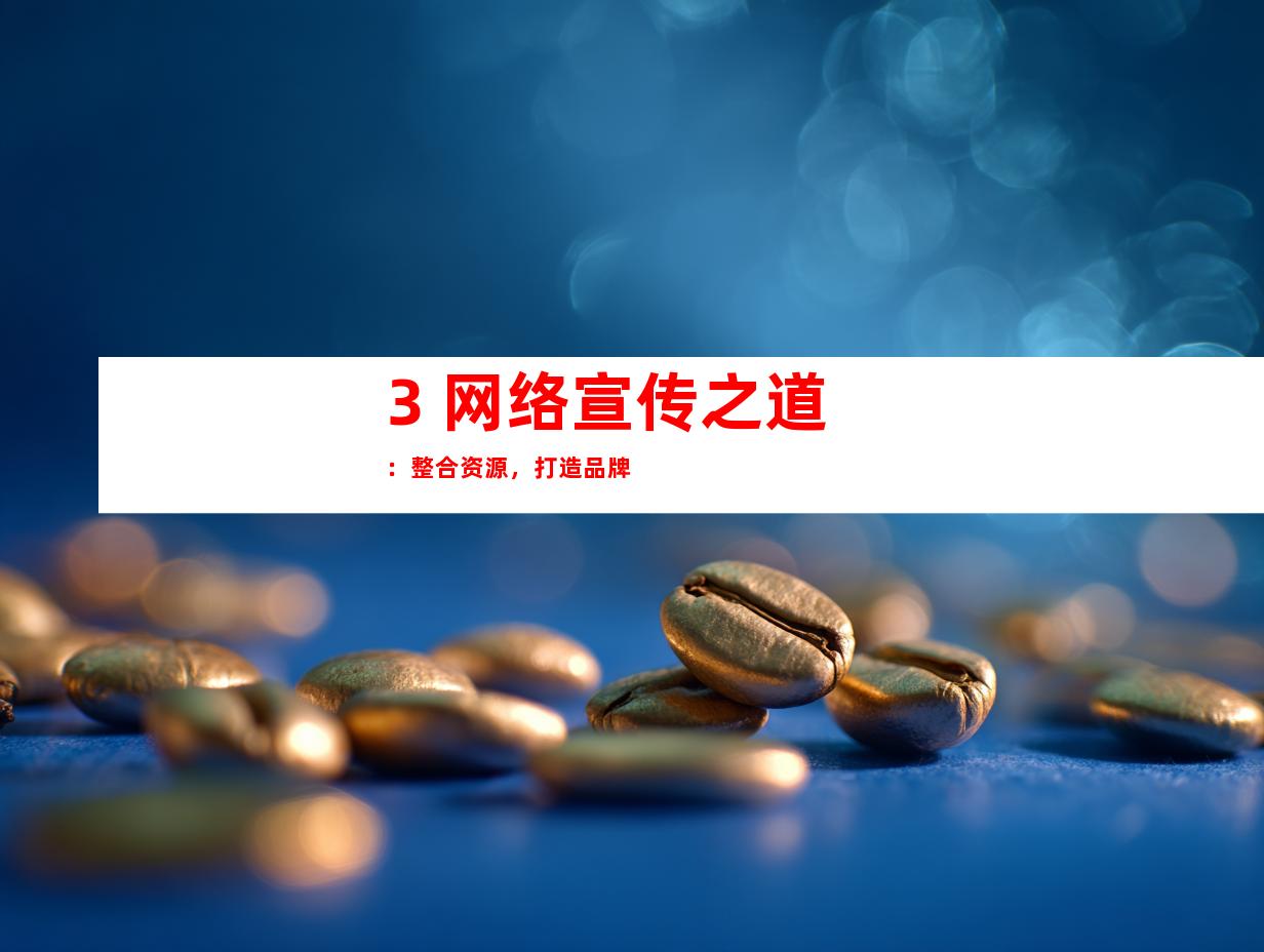 3. 网络宣传之道：整合资源，打造品牌