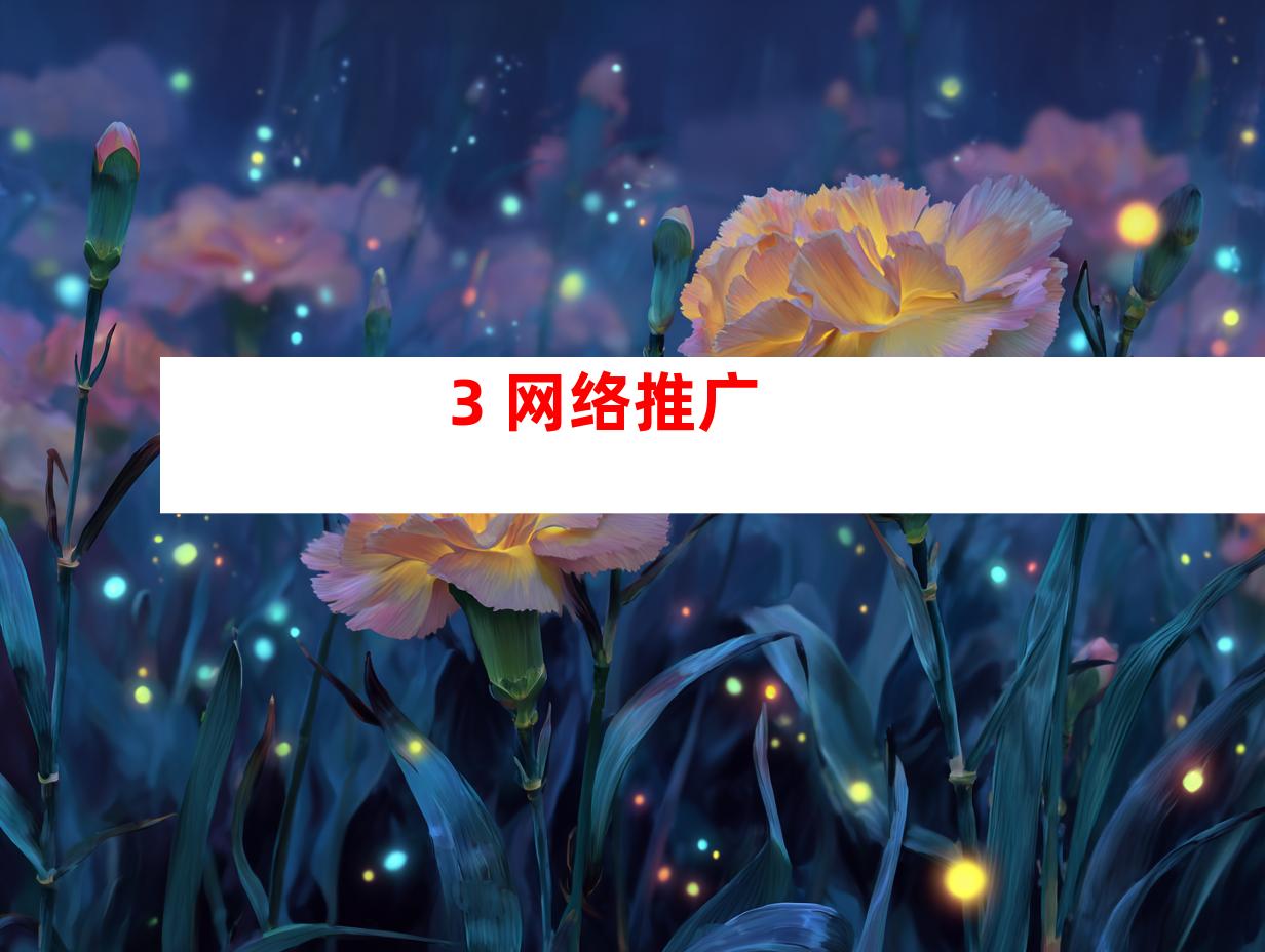 3. 网络推广