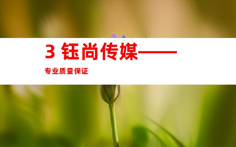 3. 钰尚传媒——专业质量保证