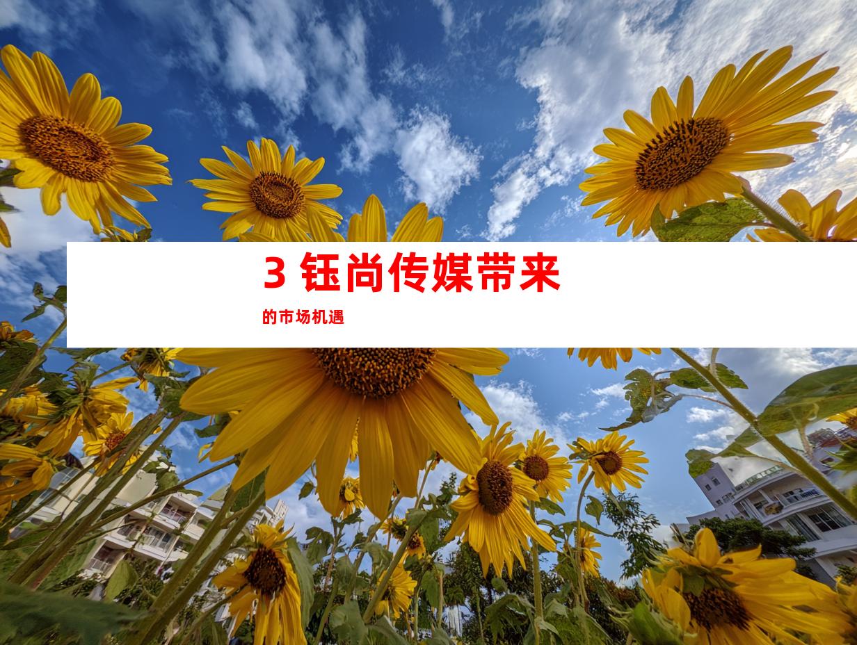 3. 钰尚传媒带来的市场机遇