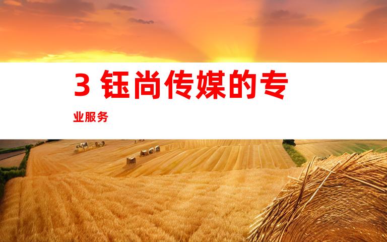 3. 钰尚传媒的专业服务