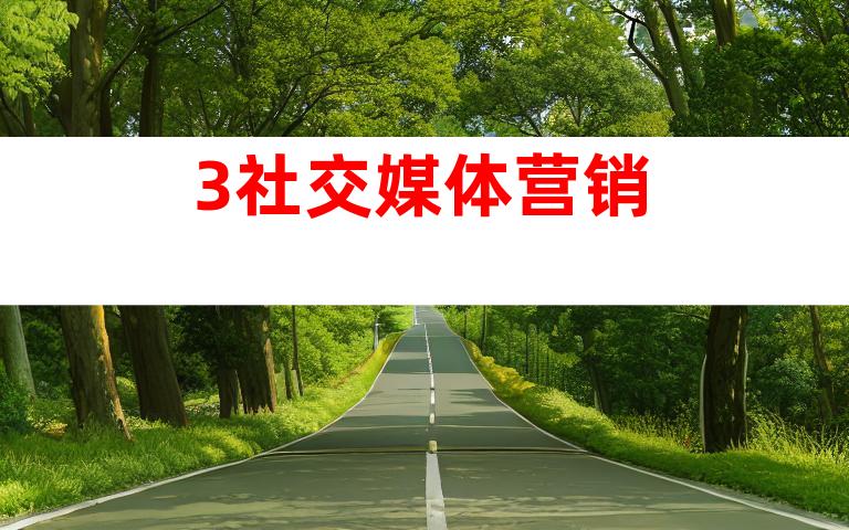 3.社交媒体营销