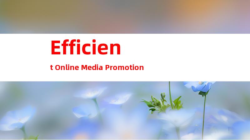 Efficient Online Media Promotion