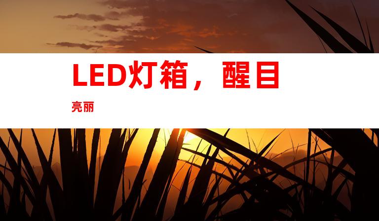 LED灯箱，醒目亮丽