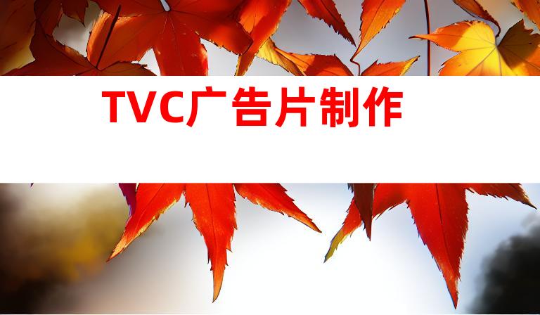 TVC广告片制作